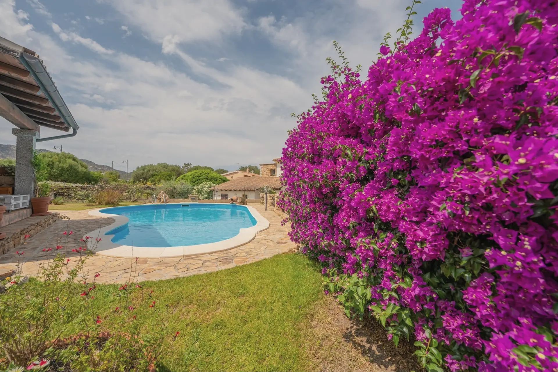 La piscina vista dal prato, accanto a una siepe di bouganville in fiore